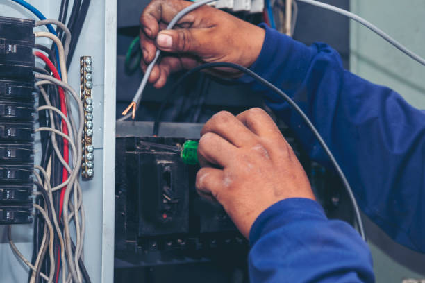 Best Electric Panel Repair  in Neillsville, WI